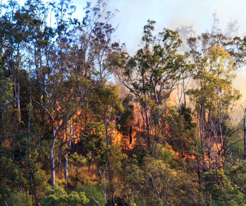 Fire on Hill in Hunter Valley