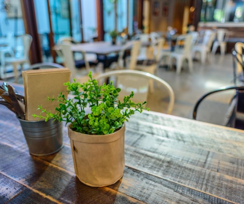 Table in Cafe with plant & Cutlery