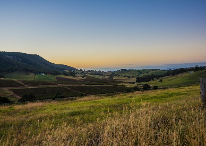 View at Hunter Valley