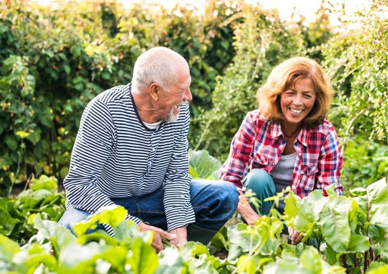 Couple caring for their Garden