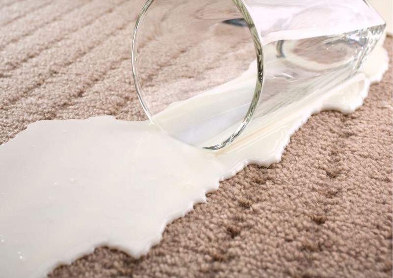 Milk spit on Carpet