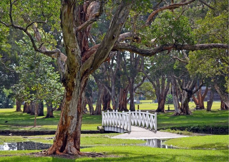 Park with white bridge over waterway.