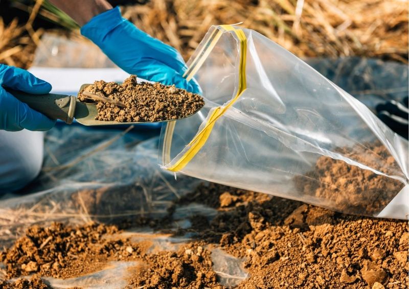 Person putting soil in a bag