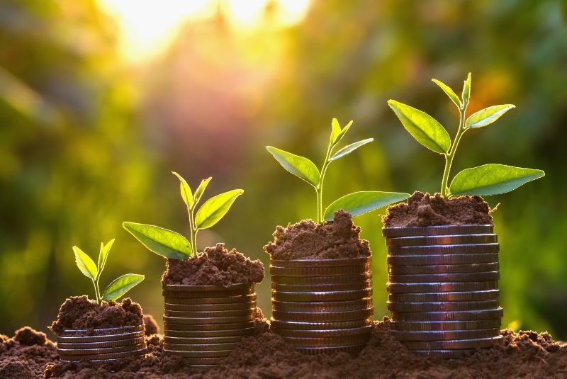 Plants growing on coins.