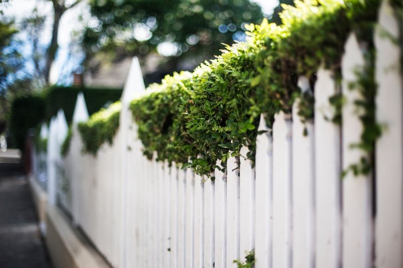 Picket Fence