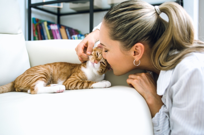 Women scratching a cat