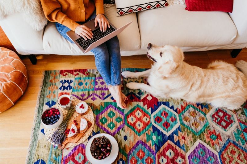 Women sitting on lounge with a dog looking at her